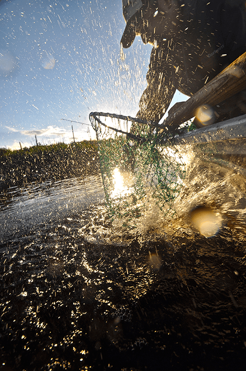 Flambeau-Outdoors-Zerust-Walleye